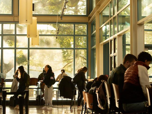 Students studying in the coffee house